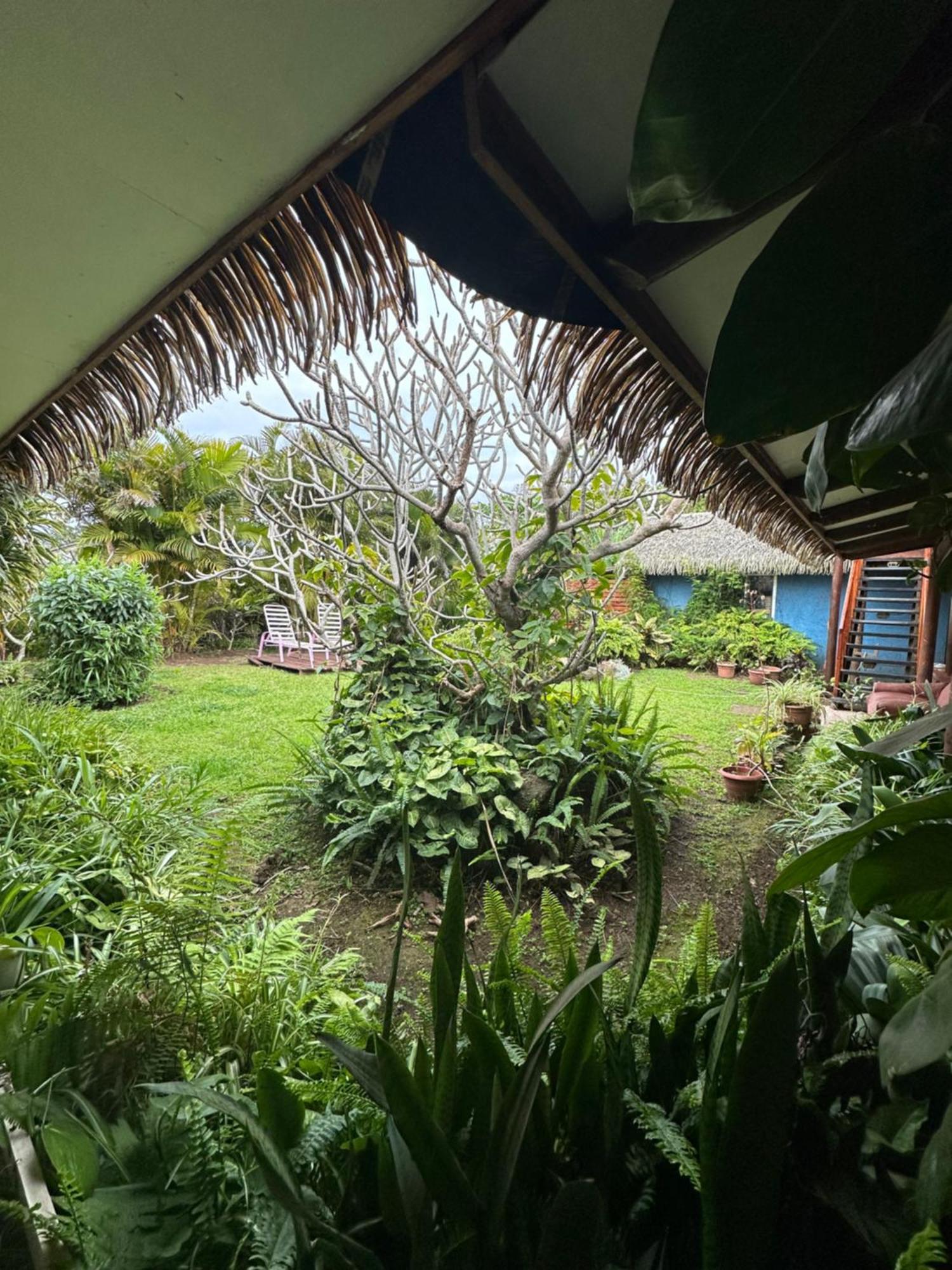 Hare Henua Bed & Breakfast Hanga Roa Exterior photo